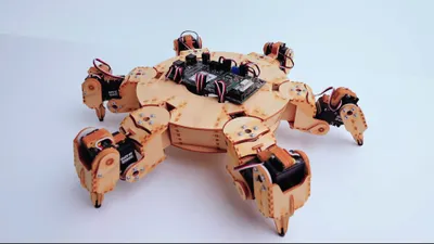 digital-fabriaction-lasercut-wooden-hexapod.webp